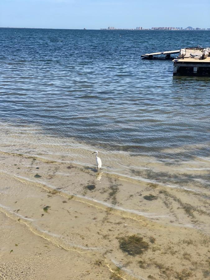 Mar Menor Elisa Apartment Santiago De La Ribera Εξωτερικό φωτογραφία